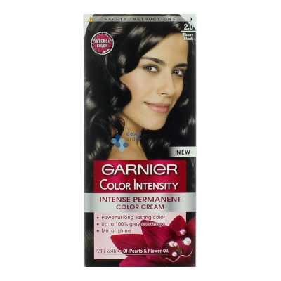 Garnier Color Intensity 2.0