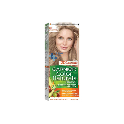 Garnier Hair Color 8.1