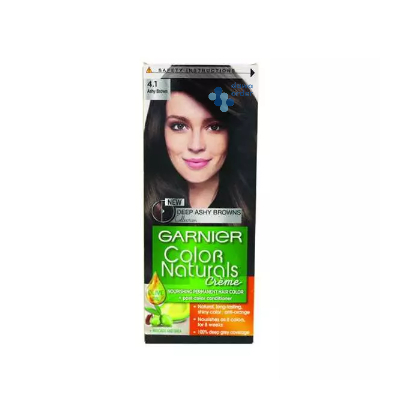 Garnier Hair Color Tub 4.1