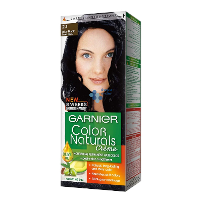 Garnier Hair Colour Creme 2.1