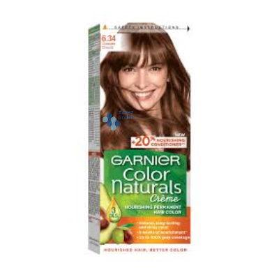 Garnier Hair Color 6.34
