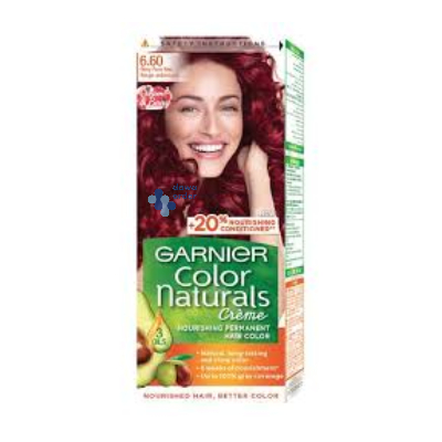 Garnier Hair Color 6.6