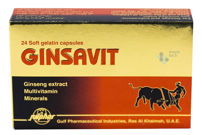 Ginsavit Multivitamin 24 Cap