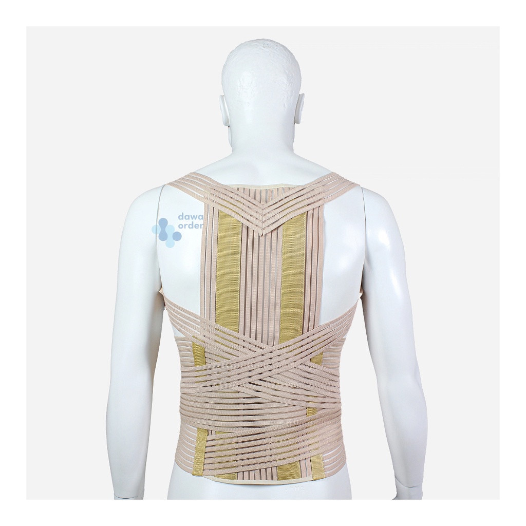 Back Support