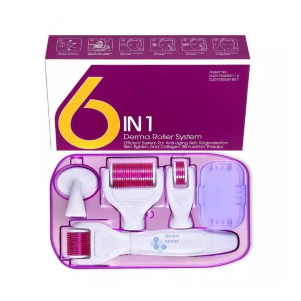 6 In 1 Derma Roller System