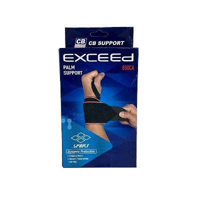 Exceed Palm Support