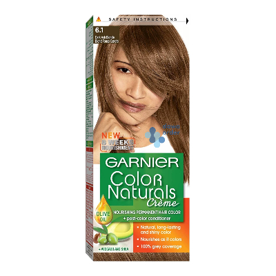Garnier Offer 6.1