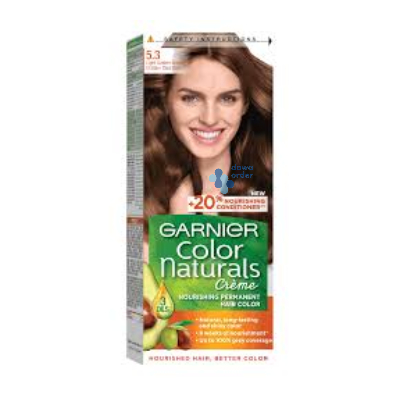 Garnier Hair Color 5.3