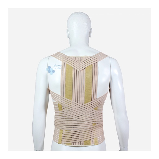 Back Support