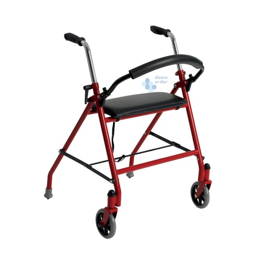 Folding Walker