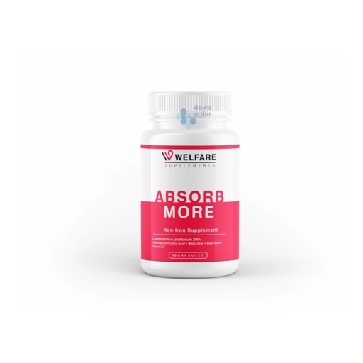ABSORB MORE