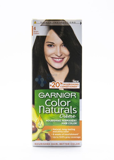 Garnier Hair Color Tub 4